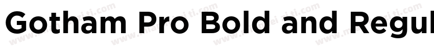 Gotham Pro Bold and Regular字体转换